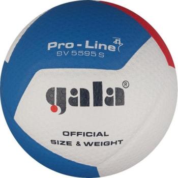 Gala Pro Line 12 BV 5595 S kép