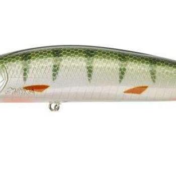 Gamera 12,8cm sp green perch kép