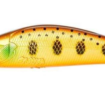 Gamera 7,8cm shw gold trout kép