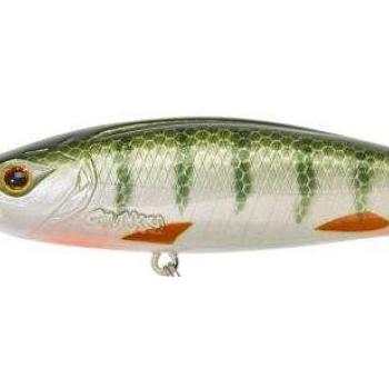 Gamera 9,0cm f green perch kép