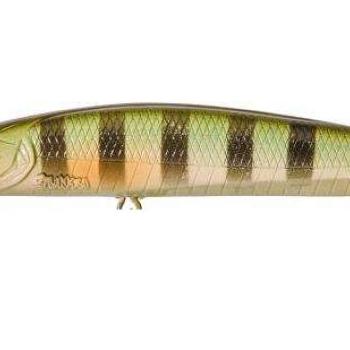 Gamera slim 11cm sp wild perch kép