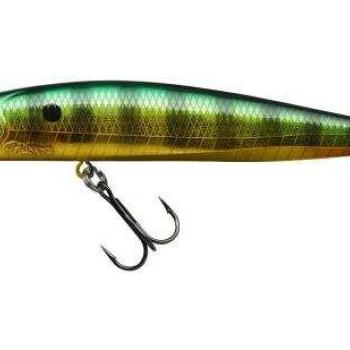 Gamera slim 12,8cm sp fire gold perch kép