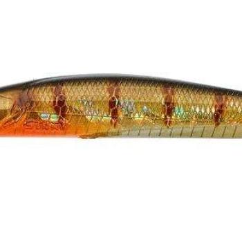 Gamera slim 9cm sp hl perch kép