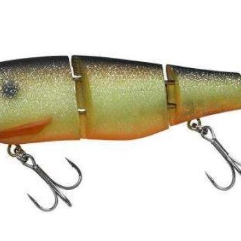 Gantia 18cm muddy roach kép