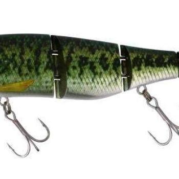 Gantia 18cm rt biwako bass kép