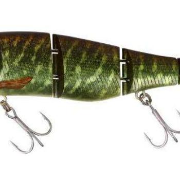 Gantia 18cm rt pike kép