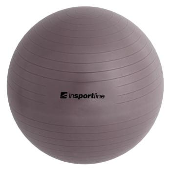 Gimnasztikai labda inSPORTline Top Ball 45 cm sötét szürke kép