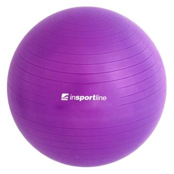 Gimnasztikai labda inSPORTline Top Ball 45 cm szürke kép