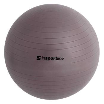 Gimnasztikai labda inSPORTline Top Ball 55 cm sötét szürke kép