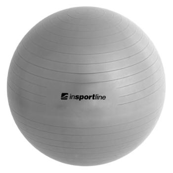 Gimnasztikai labda inSPORTline Top Ball 55 cm  szürke kép