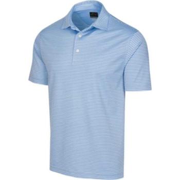 GREGNORMAN PROTEK ML75 STRIPE POLO Férfi golf galléros póló, kék, méret kép