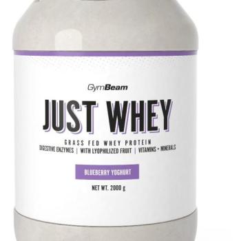 GymBeam Protein Just Whey 2000 g, blueberry  yoghurt kép