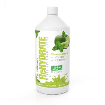 GymBeam ReHydrate 1000 ml, mojito kép