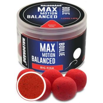 HALDORÁDÓ MAX MOTION Boilie Balanced 20 mm - Nagy Hal kép