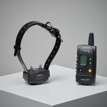 Hangjelzős, elektromos nyakörv kép