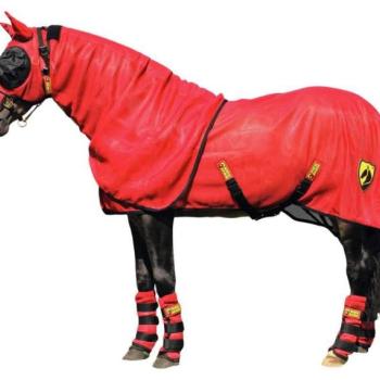 Horse Armor Porsche légytakaró kép