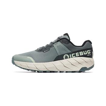 ICEBUG-Arcus RB9X GTX green/stone Szürke 42,5 kép