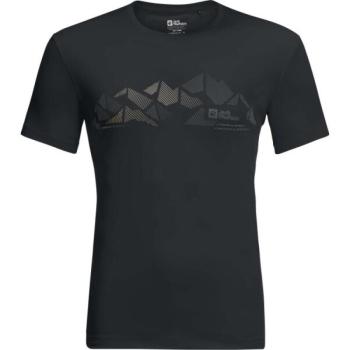 Jack Wolfskin PEAK GRAPHIC T M Férfi funkcionális póló, sötétszürke, méret kép