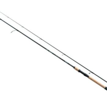 Jaxon eclatis master spin rod 3,00m 2 20-80g kép