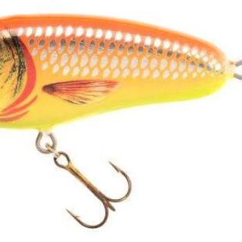 Jaxon holo select jerk force lures 10,0cm s cd kép