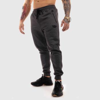 Jogger melegítőnadrág Iron Aesthetics Round, szürke kép