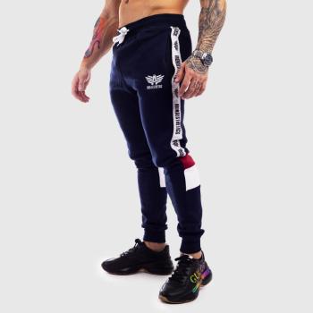 Jogger melegítőnadrág Iron Aesthetics STRIPES, navy kép