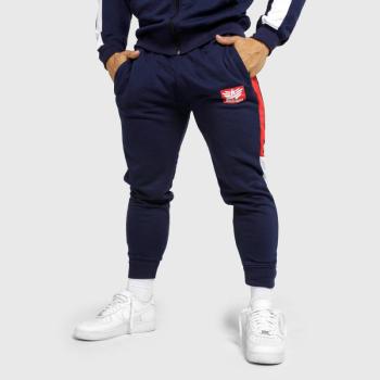 Jogger melegítőnadrág Iron Aesthetics Tricolora, navy kép