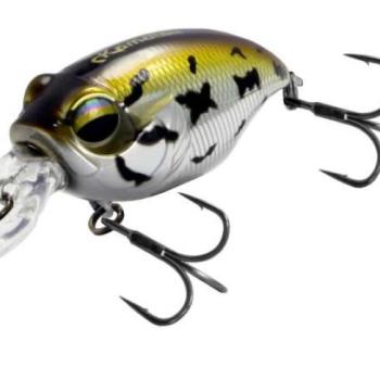 Kamatsu crazy crank 40f nasty frog kép