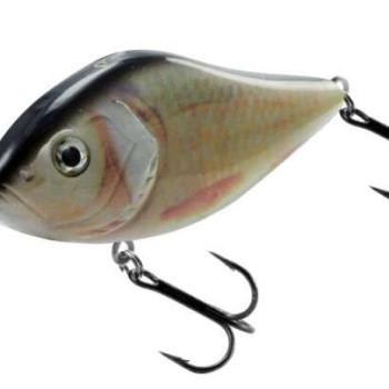 Kamatsu slow glider 100ss roach kép