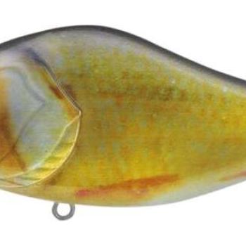 Kamatsu slow glider 70ss roach kép