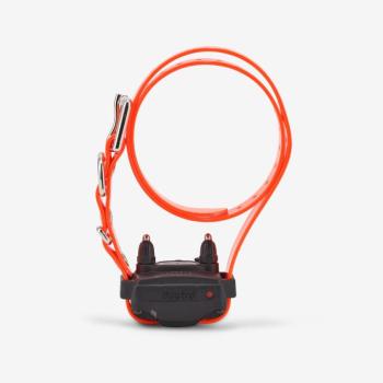 Kiegészítő kutyakiképző nyakörv - Dogtra 610C kép