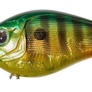 Kraken 5,5cm f fire gold perch kép