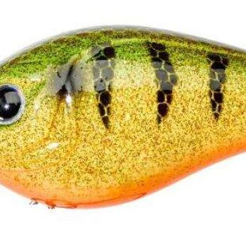 Kraken 5,5cm f strass perch kép