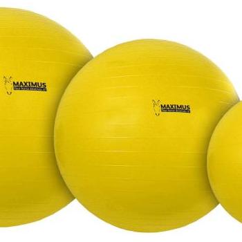 Maximus Power Play lólabda 65cm kép