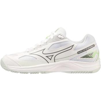 Mizuno CYCLONE SPEED 4 W Női teremcipő, fehér, méret 36.5 kép