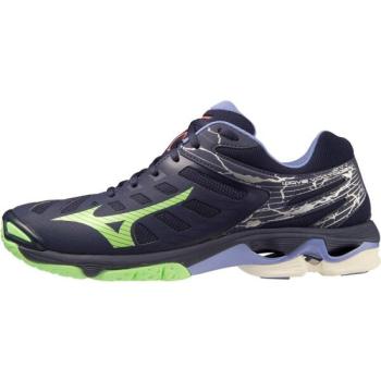 Mizuno WAVE VOLTAGE Férfi röplabda cipő, kék, méret 42.5 kép