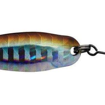 Native spoon 14g lake shad kép