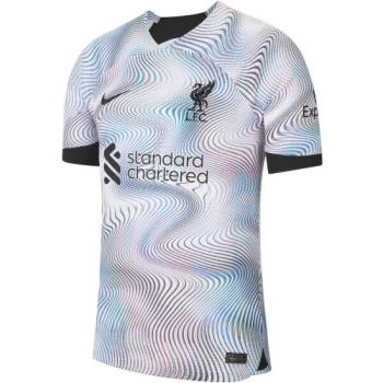 Nike LFC M NK DF STAD JSY SS AW Férfi futballmez, mix, méret kép