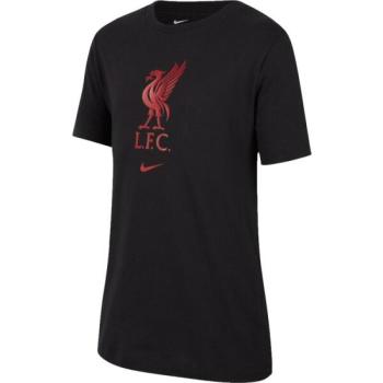 Nike LIVERPOOL FC Gyerek póló, fekete, méret kép