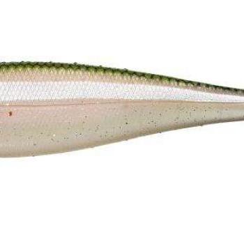 Nitro shad 15cm secret sand eel kép