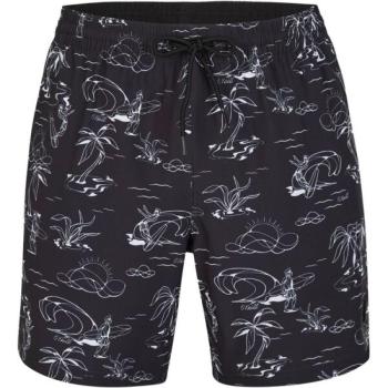 O'Neill CALI CIRCLE SURFER 16'' SWIM SHORTS Férfi fürdőnadrág, fekete, méret kép