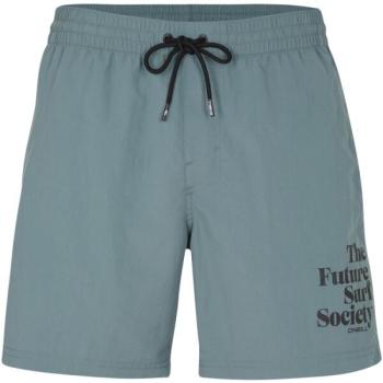 O'Neill CALI FSS 16'' SWIM SHORTS Férfi fürdőnadrág, zöld, méret kép