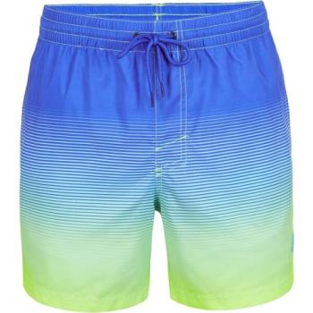 O'Neill CALI GRADIENT 15'' SWIM SHORTS Férfi fürdőnadrág, kék, méret kép