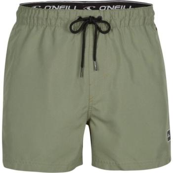 O'Neill CALI PANEL SHORTS Férfi fürdőnadrág, khaki, méret kép