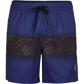 O'Neill CALI STRIPE SHORTS Férfi fürdőnadrág, sötétkék, méret kép