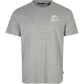 O'Neill CIRCLE SURFER T-SHIRT Férfi póló, szürke, méret kép