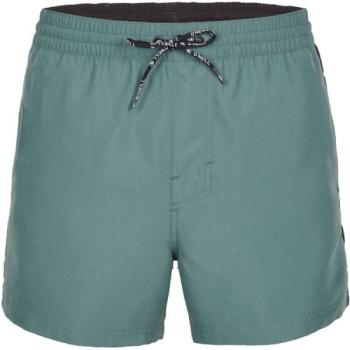 O'Neill COAST 14'' SWIM SHORTS Férfi fürdőnadrág, sötétzöld, méret kép