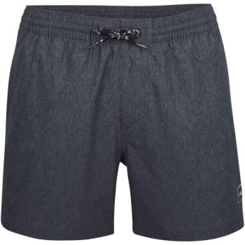 O'Neill FULL STRETCH SHORTS Férfi fürdőnadrág, sötétszürke, méret kép