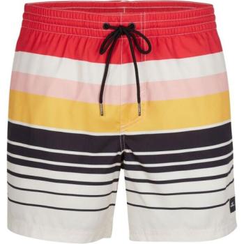 O'Neill HORIZON SHORTS Férfi fürdőnadrág, mix, méret kép