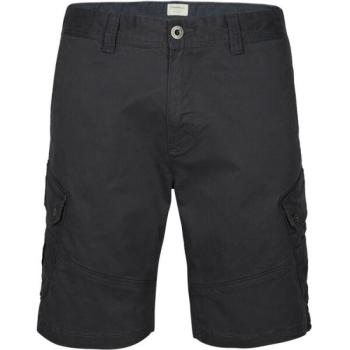 O'Neill LM COMPLEX CARGO SHORTS Férfi rövidnadrág, sötétszürke, méret kép